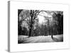 Central Park Snow-Philippe Hugonnard-Stretched Canvas