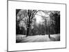 Central Park Snow-Philippe Hugonnard-Mounted Art Print