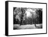 Central Park Snow-Philippe Hugonnard-Framed Stretched Canvas