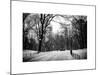 Central Park Snow-Philippe Hugonnard-Mounted Art Print