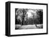 Central Park Snow-Philippe Hugonnard-Framed Stretched Canvas