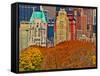 Central Park South, Manhattan, New York City-Sabine Jacobs-Framed Stretched Canvas