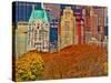 Central Park South, Manhattan, New York City-Sabine Jacobs-Stretched Canvas
