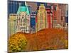 Central Park South, Manhattan, New York City-Sabine Jacobs-Mounted Photographic Print