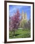 Central Park Spring Colors-Chris Bliss-Framed Photographic Print