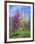 Central Park Spring Colors-Chris Bliss-Framed Photographic Print