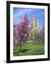 Central Park Spring Colors-Chris Bliss-Framed Photographic Print