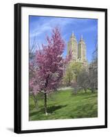 Central Park Spring Colors-Chris Bliss-Framed Photographic Print