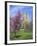 Central Park Spring Colors-Chris Bliss-Framed Photographic Print