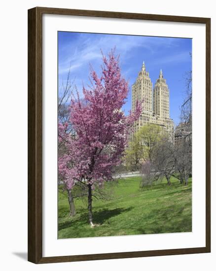 Central Park Spring Colors-Chris Bliss-Framed Photographic Print