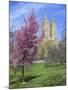 Central Park Spring Colors-Chris Bliss-Mounted Photographic Print