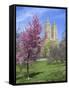 Central Park Spring Colors-Chris Bliss-Framed Stretched Canvas