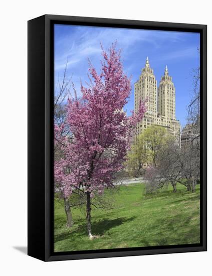 Central Park Spring Colors-Chris Bliss-Framed Stretched Canvas