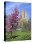 Central Park Spring Colors-Chris Bliss-Stretched Canvas