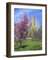 Central Park Spring Colors-Chris Bliss-Framed Photographic Print