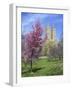 Central Park Spring Colors-Chris Bliss-Framed Photographic Print