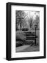 Central Park Stairs To Nowhere-Jeff Pica-Framed Photographic Print