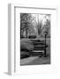 Central Park Stairs To Nowhere-Jeff Pica-Framed Photographic Print