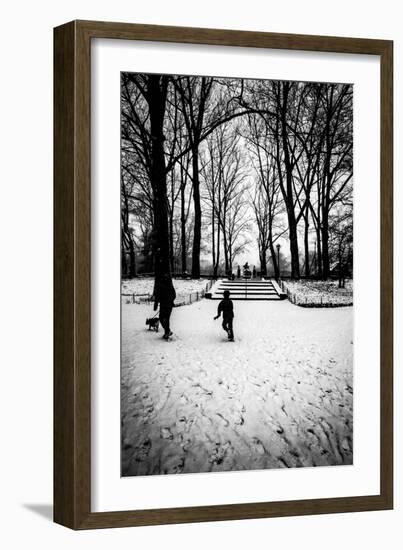 Central Park Steps-Guilherme Pontes-Framed Photographic Print