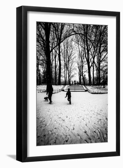 Central Park Steps-Guilherme Pontes-Framed Photographic Print