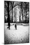 Central Park Steps-Guilherme Pontes-Mounted Photographic Print