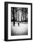 Central Park Steps-Guilherme Pontes-Framed Photographic Print