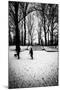 Central Park Steps-Guilherme Pontes-Mounted Photographic Print
