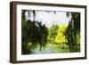 Central Park Summer II - In the Style of Oil Painting-Philippe Hugonnard-Framed Giclee Print