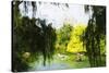 Central Park Summer II - In the Style of Oil Painting-Philippe Hugonnard-Stretched Canvas