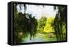 Central Park Summer II - In the Style of Oil Painting-Philippe Hugonnard-Framed Stretched Canvas