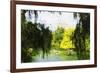 Central Park Summer II - In the Style of Oil Painting-Philippe Hugonnard-Framed Giclee Print