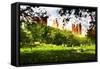 Central Park Summer - In the Style of Oil Painting-Philippe Hugonnard-Framed Stretched Canvas