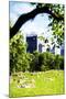 Central Park Summer IV- In the Style of Oil Painting-Philippe Hugonnard-Mounted Giclee Print