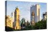Central Park Sunset III - In the Style of Oil Painting-Philippe Hugonnard-Stretched Canvas