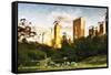 Central Park Sunset IV - In the Style of Oil Painting-Philippe Hugonnard-Framed Stretched Canvas