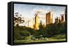 Central Park Sunset IV - In the Style of Oil Painting-Philippe Hugonnard-Framed Stretched Canvas