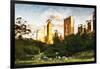 Central Park Sunset IV - In the Style of Oil Painting-Philippe Hugonnard-Framed Giclee Print