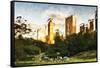 Central Park Sunset IV - In the Style of Oil Painting-Philippe Hugonnard-Framed Stretched Canvas