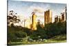 Central Park Sunset IV - In the Style of Oil Painting-Philippe Hugonnard-Stretched Canvas