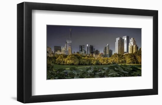 Central Park the View Downtown-null-Framed Art Print