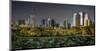 Central Park the View Downtown-null-Mounted Art Print