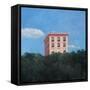 Central Park, USA, 2012-Lincoln Seligman-Framed Stretched Canvas