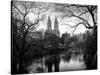 Central Park View in Winter-Philippe Hugonnard-Stretched Canvas