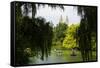 Central Park view - Manhattan - New York City - United States-Philippe Hugonnard-Framed Stretched Canvas