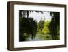 Central Park view - Manhattan - New York City - United States-Philippe Hugonnard-Framed Photographic Print