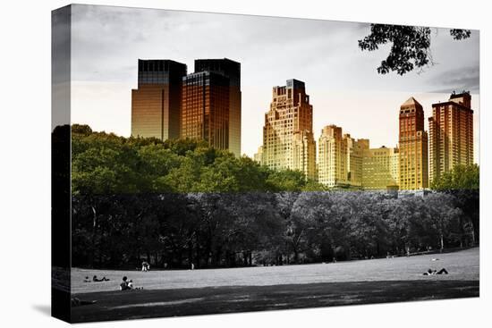 Central Park view - Manhattan - New York City - United States-Philippe Hugonnard-Stretched Canvas