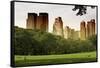 Central Park view - Manhattan - New York City - United States-Philippe Hugonnard-Framed Stretched Canvas