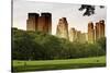 Central Park view - Manhattan - New York City - United States-Philippe Hugonnard-Stretched Canvas