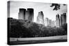 Central Park view - Manhattan - New York City - United States-Philippe Hugonnard-Stretched Canvas