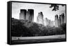 Central Park view - Manhattan - New York City - United States-Philippe Hugonnard-Framed Stretched Canvas